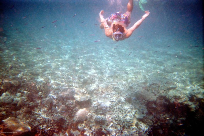 Don @ Hardy Reef