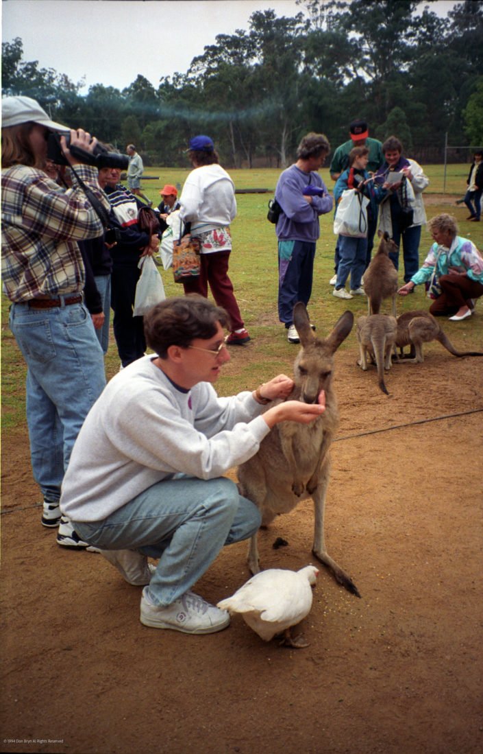 Don Feeding a roo in Brisbane, Australia