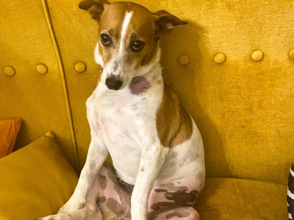Myla