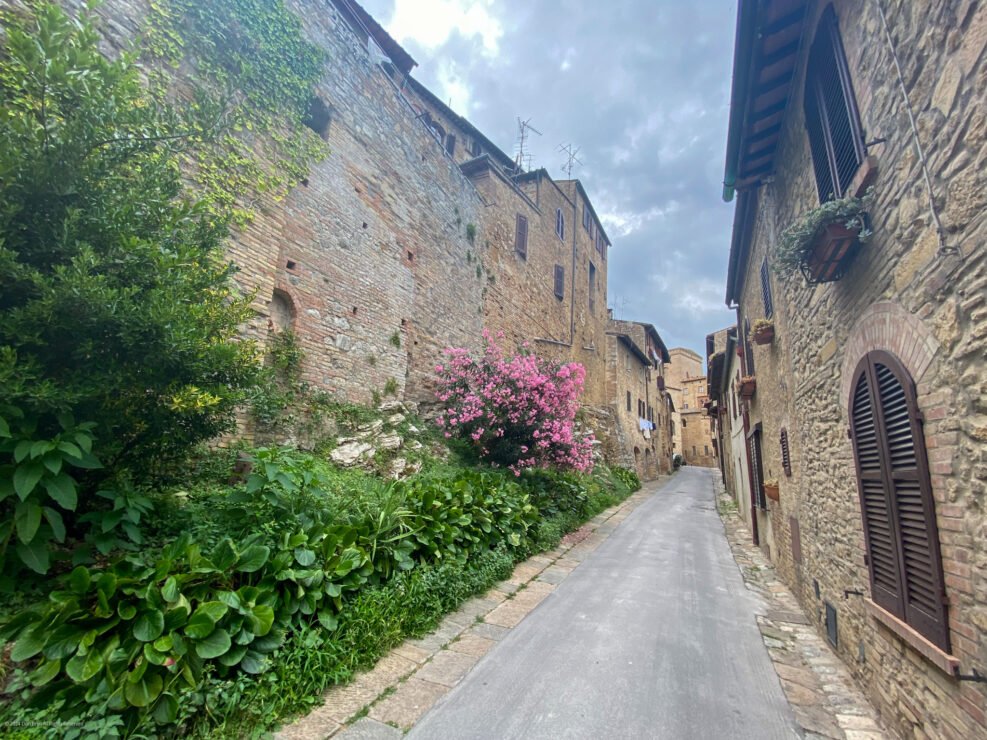 San Gimignano 21