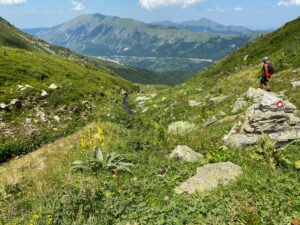 Bistra Hike 43 Edis