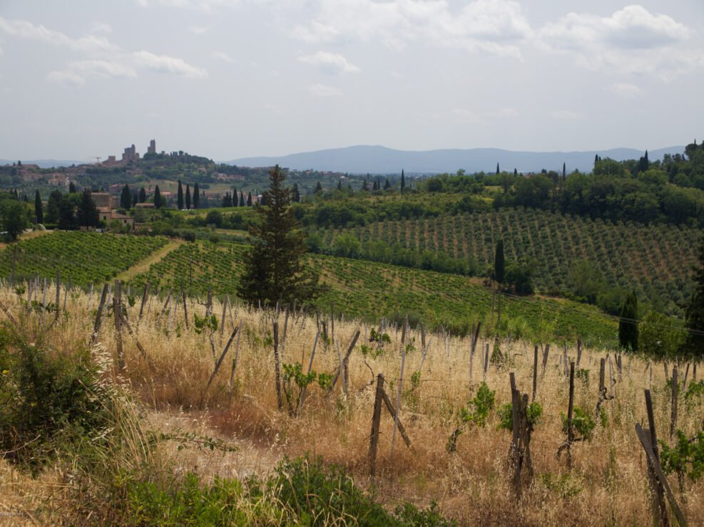 San Gimignano Vista 1